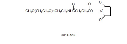 <font color='red'>甲氧基聚乙二醇SAS酯</font> mPEG-Succinimidyl Amido Succinate