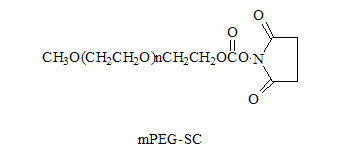 甲氧基聚乙二醇SC酯 <font color='red'>mPEG</font>-Succinimidyl Carbonate