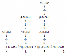 XLFG木葡寡<font color='red'>糖</font>