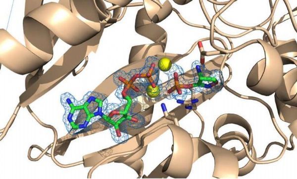 Nat Commun：科学家对古老抗生素进行修饰 有望开发出<font color='red'>新型抗菌药物</font>