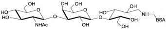 Lacto-<font color='red'>N</font>-Triaose / L<font color='red'>N</font>T2 linked to BSA