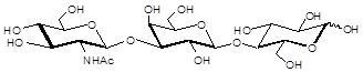 Lacto-<font color='red'>N</font>-Triaose / L<font color='red'>N</font>T2