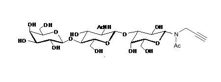 Core type 2 -<font color='red'>N</font>-acetyl-propargyl