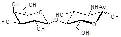 <font color='red'>N</font>-Acetyl-D-Lactosamine / Lac<font color='red'>N</font>Ac