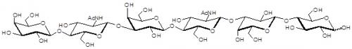 Para-Lacto-<font color='red'>N</font>-neohexaose / Para-L<font color='red'>N</font>nH