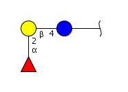 Blood group H antigen triaose type5-<font color='red'>N</font>Ac-spacer1-<font color='red'>N</font>H2