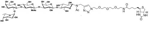 Blood group H antigen pentaose type 1-Nacetyl-Spacer 3-Biotin