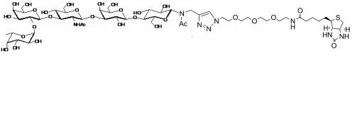 Blood group H <font color='red'>antigen pent</font>aose type 1-Nacetyl-Spacer 3-Biotin