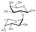 <font color='red'>Blood group</font> H antigen disaccharide