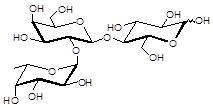 <font color='red'>Blood group</font> H antigen triaose type 5