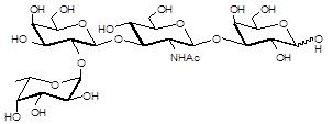 Blood group H antigen tetraose type 1