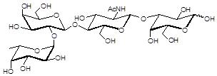 <font color='red'>Blood group </font>H antigen tetraose type 2