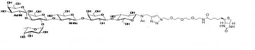 6GrA1-NAc-spacer3-Biotin