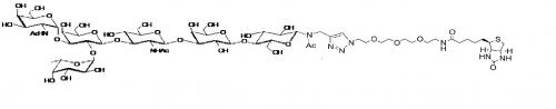 6GrA1-<font color='red'>N</font>Ac-spacer3-Biotin