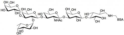 Blood group A antigen hexaose type 1 linked to<font color='red'> BSA</font>