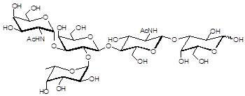 Blood group A <font color='red'>antigen pent</font>aose type 2