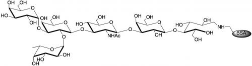 <font color='red'>B血型抗原六糖1型</font>-生物素
