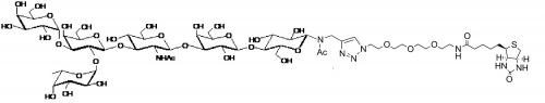 6GrB1-N-乙酰基-间隔3-<font color='red'>生物素</font>