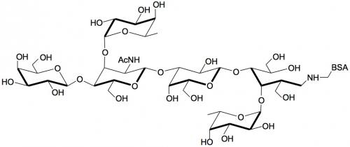 Lewis X抗原六糖-<font color='red'>BSA</font>