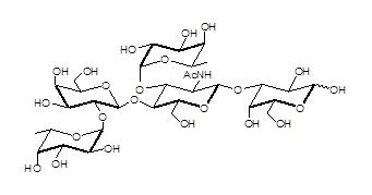 <font color='red'>Lewis Y抗原五糖</font>