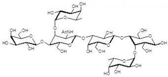 <font color='red'>Lewis X抗原六糖</font>