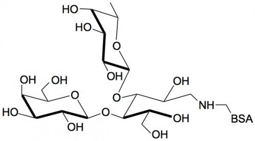 <font color='red'>3-岩藻乳糖</font>-BSA