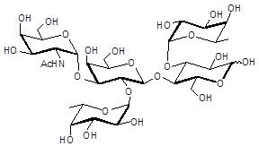 3-岩藻糖-A血型抗原四糖