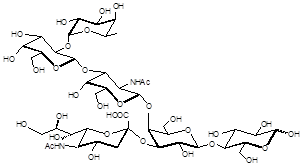 岩藻糖GM1<font color='red'>神经节苷脂类糖</font> 岩藻糖GM1<font color='red'>神经节苷脂类糖</font>