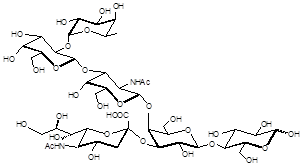 岩藻糖GM1<font color='red'>神经</font>节苷脂类糖