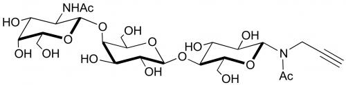 aGM2神经节苷脂类糖-N-乙酰-丙炔