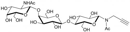 aGM2<font color='red'>神经</font>节苷脂类糖-N-乙酰-丙炔