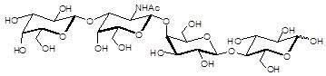 <font color='red'>神经</font>节苷脂类糖 GA1