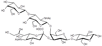 GM1a<font color='red'>神经节苷脂类糖</font> GM1a<font color='red'>神经节苷脂类糖</font>