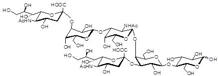 GD1a<font color='red'>神经节苷脂类糖</font> GD1a<font color='red'>神经节苷脂类糖</font>