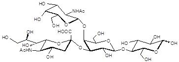 GM2神经节苷脂类糖