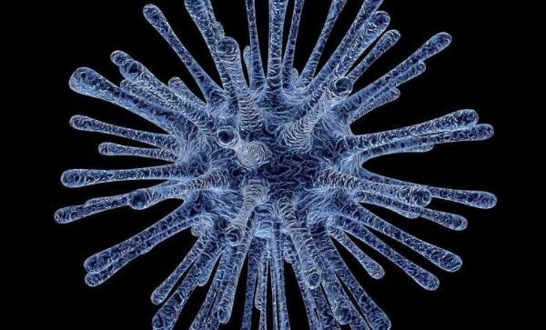 科学家阐明病毒利用宿主细胞中关键蛋白进行繁殖的分子机制