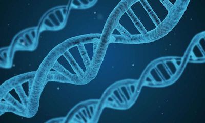 利用干细胞技术与基因编辑技术建立人类基因组功能蓝图
