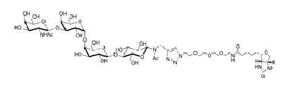 <font color='red'>Gb4</font>-Nac-空间构型3-生物素