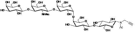 <font color='red'>Gb5</font>-N-Acetyl-Propargyl