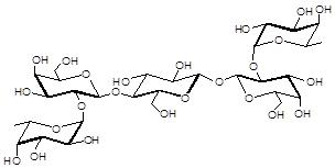 <font color='red'>二岩藻糖五糖</font>