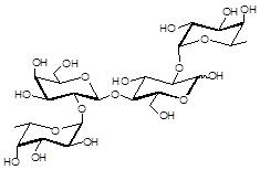 2'2 二岩藻糖乳糖