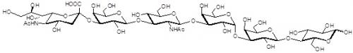 唾液酸iGb5类似物1型