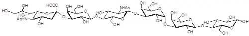 唾液酸iGb5类似物2型