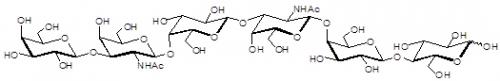 GalGalNac-aGM1 神经节苷脂类糖