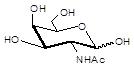 N-乙酰-<font color='red'>D-半乳糖</font>胺