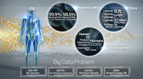 Genome Res：科学家开发出能对单细胞进行大规模分析的新型工具—BigSCale