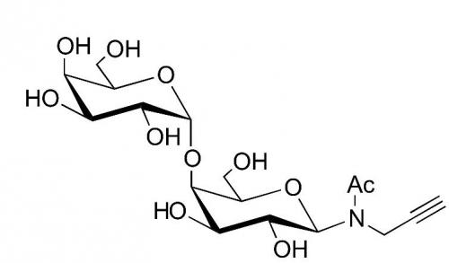 α1-4 半乳二糖-N-乙酰丙炔