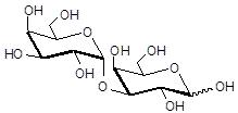 <font color='red'>α1-3半乳二糖</font>