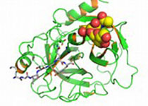 科学家发明新<font color='red'>3</font>D成像分析技术