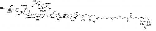 GD2神经节苷脂类糖-β-N-乙酰–空间构型3-<font color='red'>生物素</font>